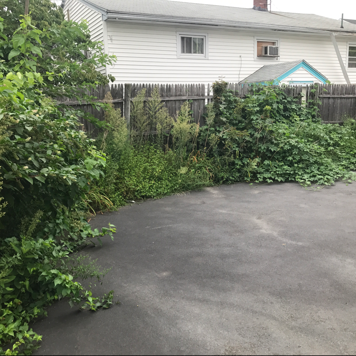 Additional Photos