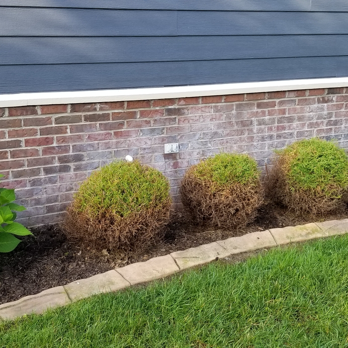 Additional Photos