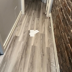 Hallway leading into back room and bathroom
