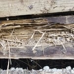 Foundation Repair Project