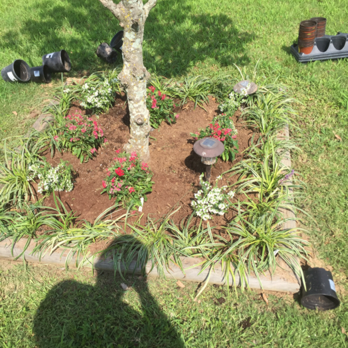 Additional Photos