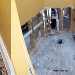 Overflowed Toilet