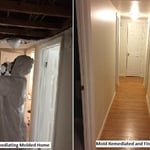 Molded Home