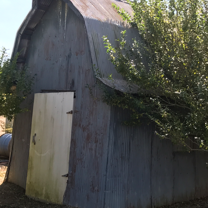 Additional Photos