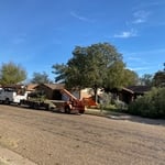 Lubbock, Tx tree job
