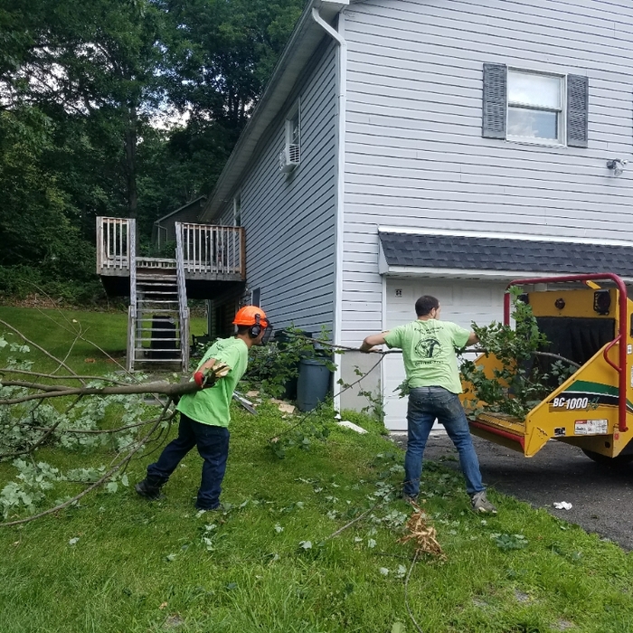 Additional Photos