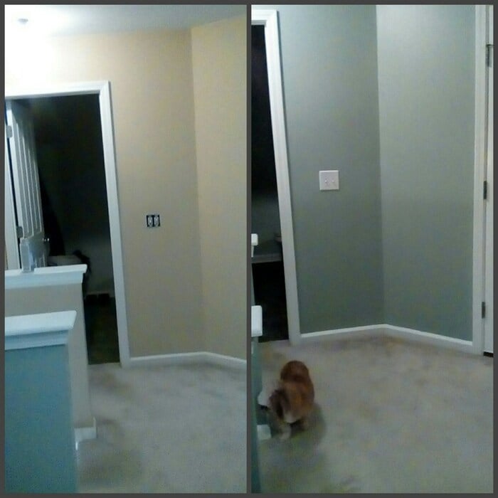 Additional Photos