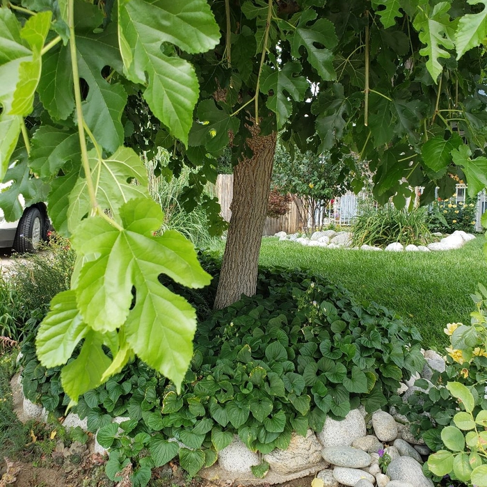 Additional Photos