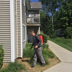 Preventative Pest Control