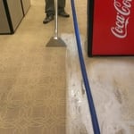 Carpet Cleaning