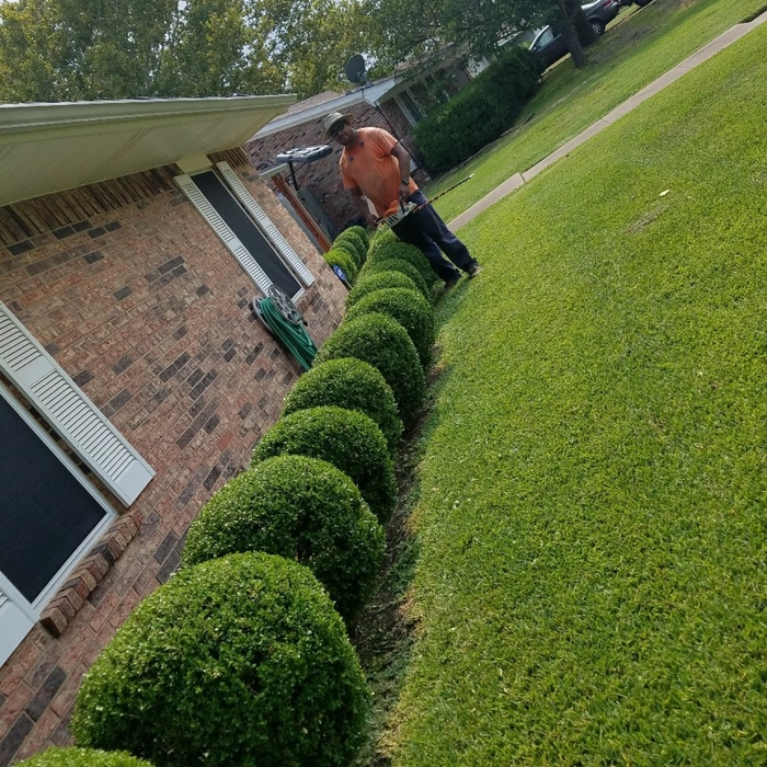 Additional Photos