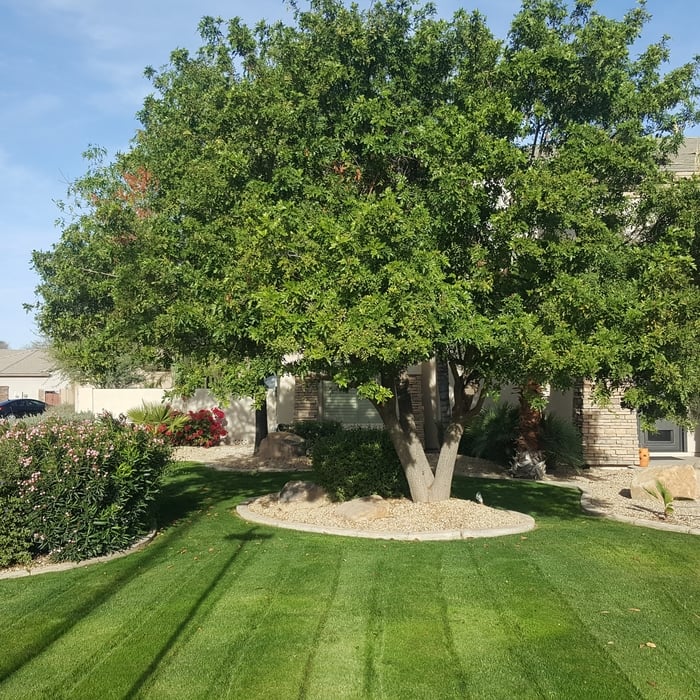 Additional Photos
