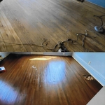 Wood Floor Refinishing - NO Sanding