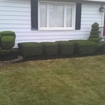 Additional Photos