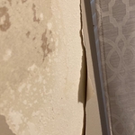 Roofing & Interior Repairs