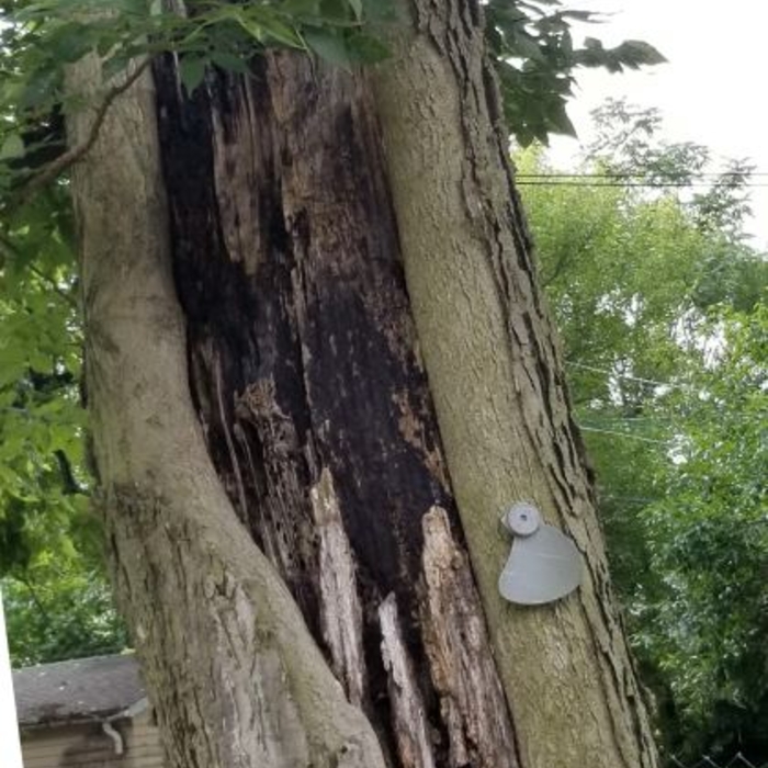 Additional Photos