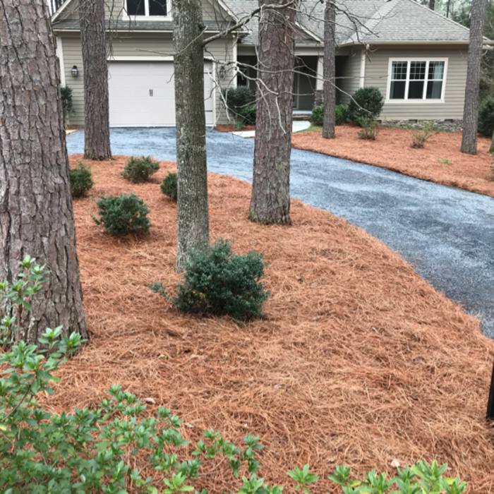 Additional Photos