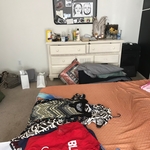 Home Organization