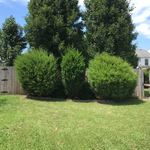 Additional Photos