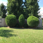 Additional Photos