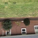Lawn & Yard Work Project