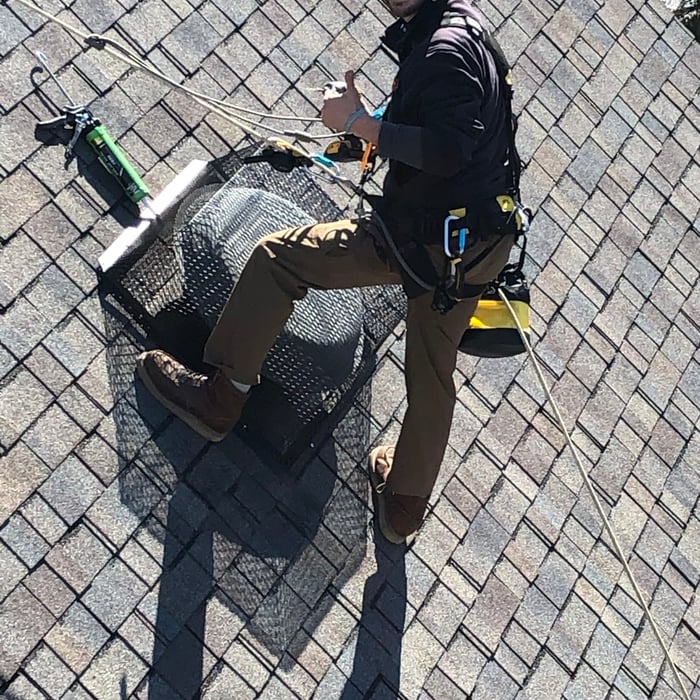Pest Control/Exterminating Project