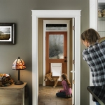 Pet Doors