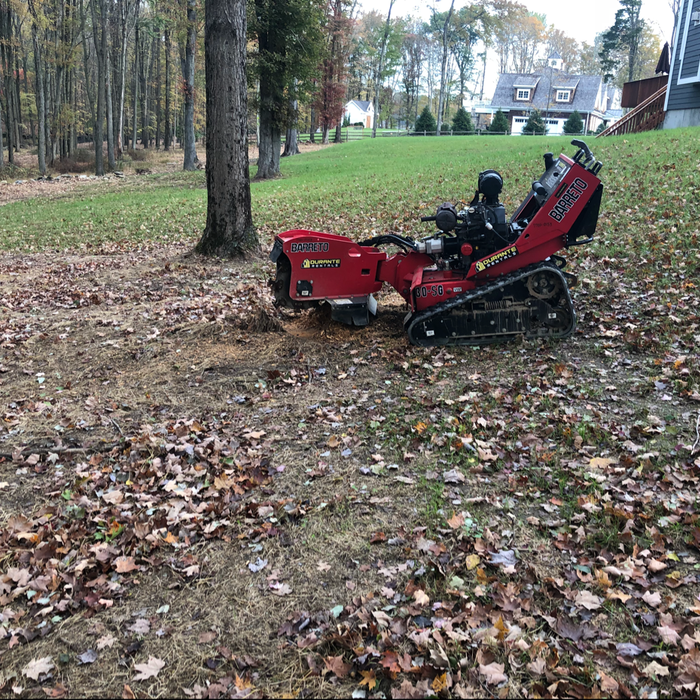 Additional Photos