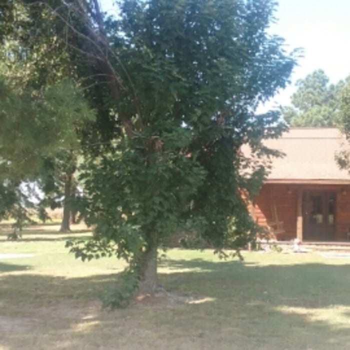 Additional Photos
