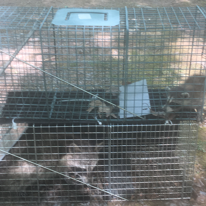 Additional Photos
