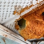 You can see an entry way made by rodents or squirrels.