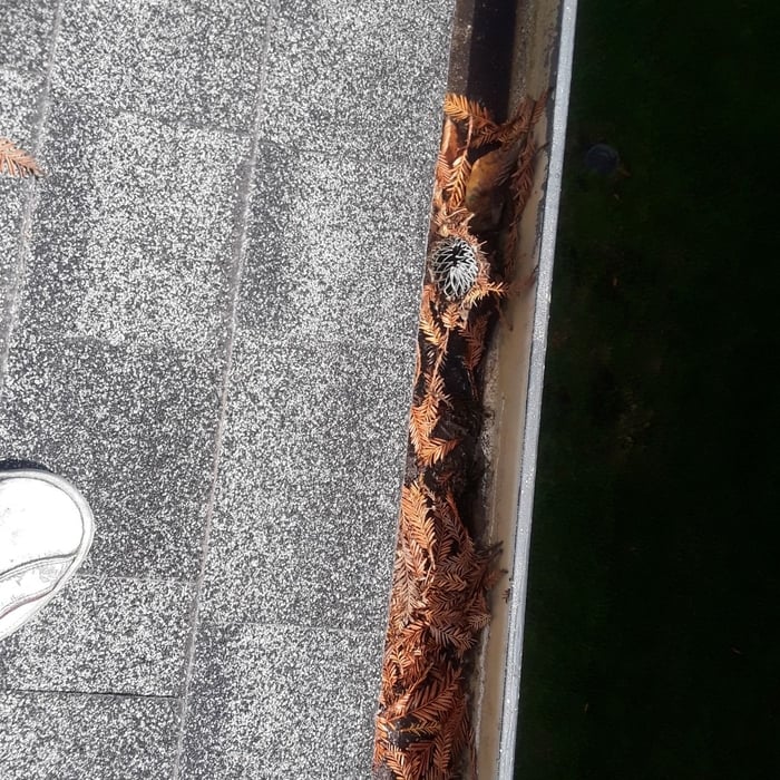 Additional Photos