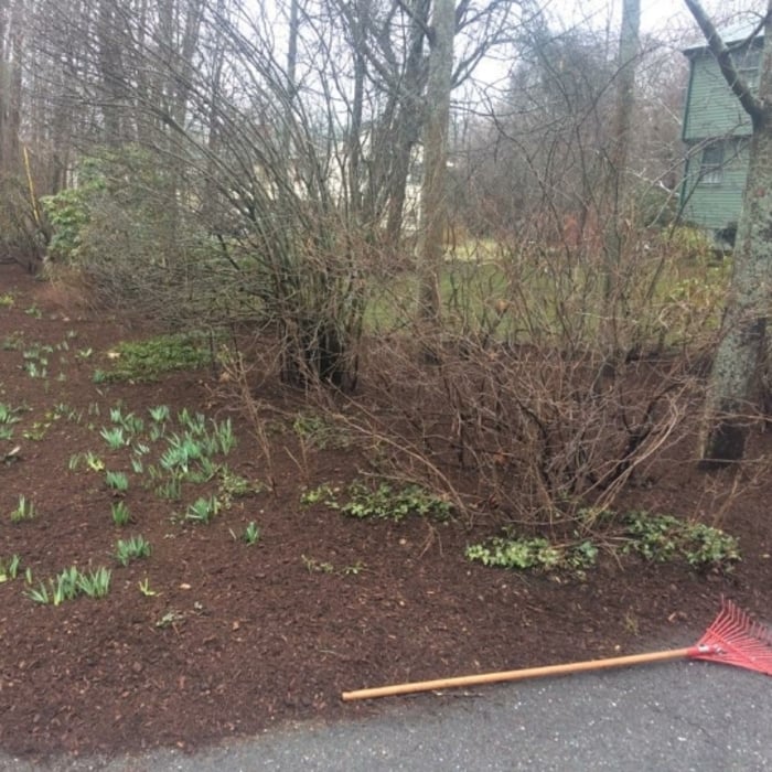 Additional Photos