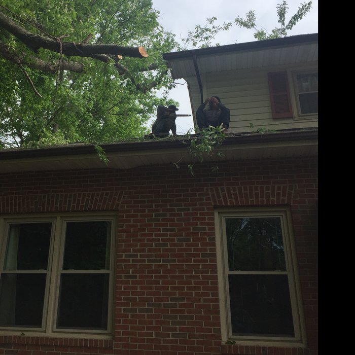 Additional Photos