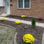 Additional Photos