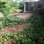 Clearing and cleaning up fence line