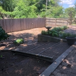 Clearing and cleaning up fence line