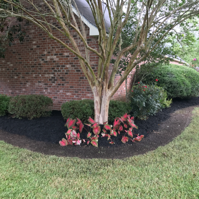 Additional Photos