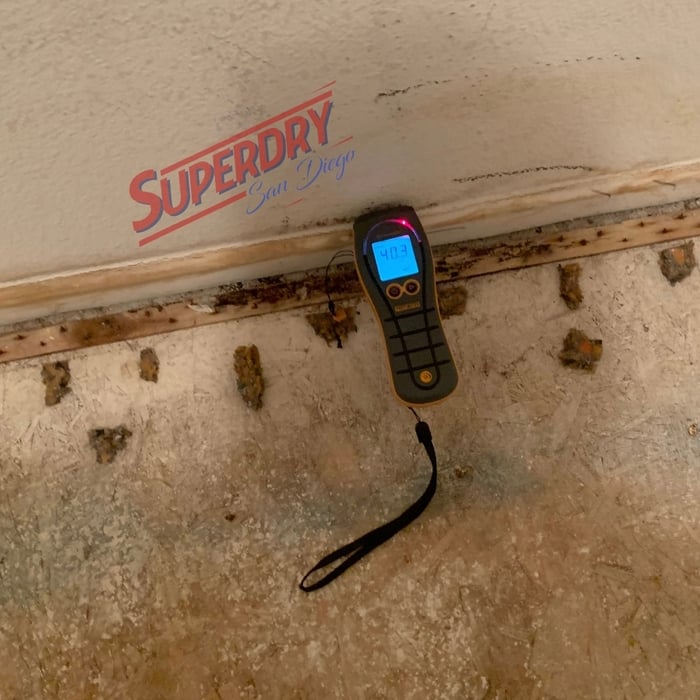 Moisture meter indicating that there are high amounts of moisture in the wall