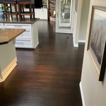Bellevue Project