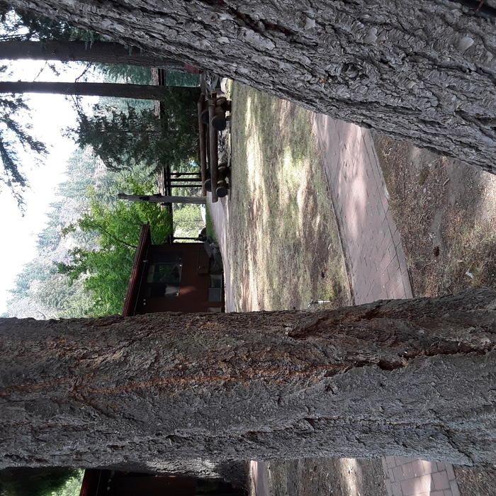 Additional Photos