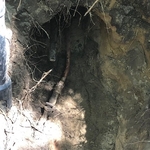 Water main