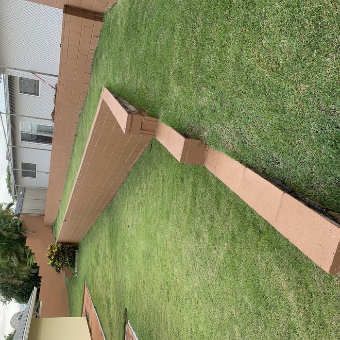 Landscaping Surface Drainage