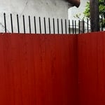 Coyotes fencing