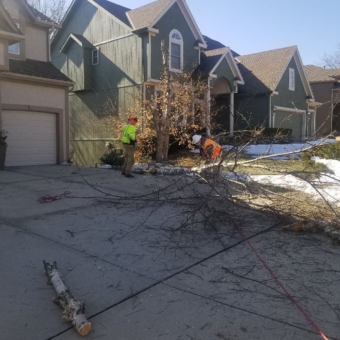 Additional Photos