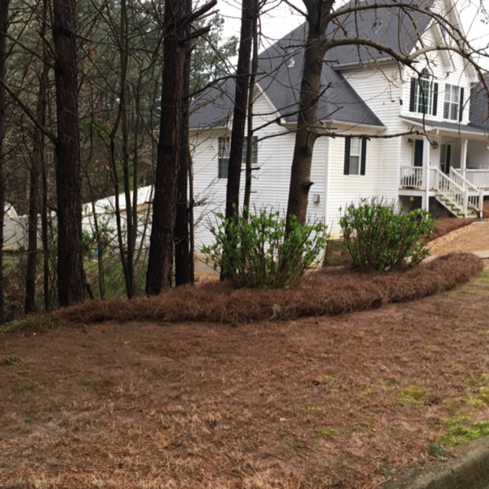 Additional Photos