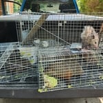 Not a typical 9-5 Job