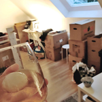 Additional Photos