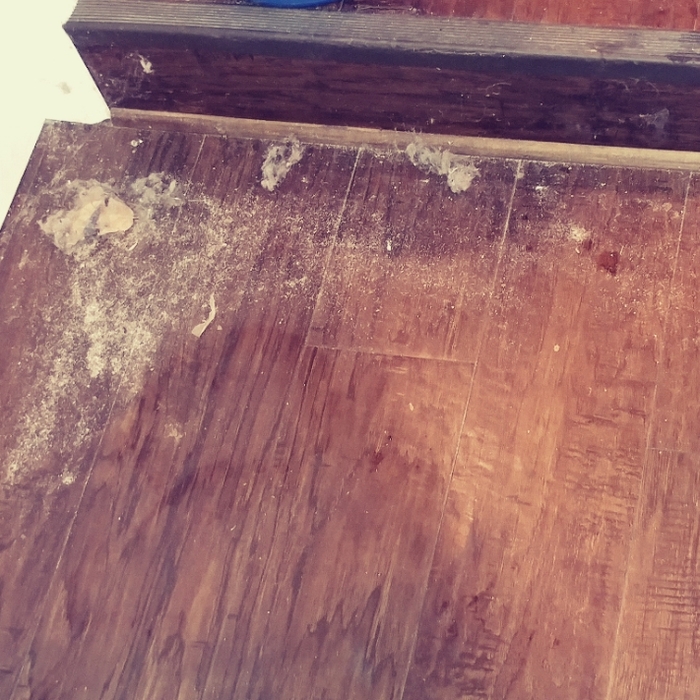 Additional Photos