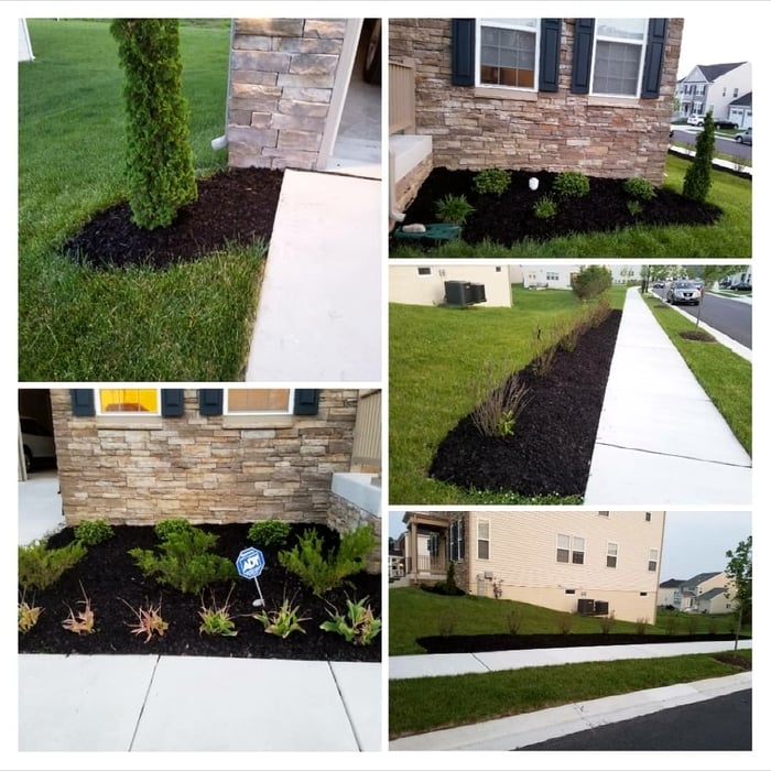 Additional Photos